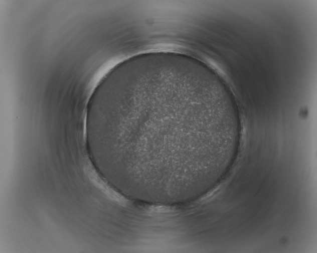 X0000113121275200909111130