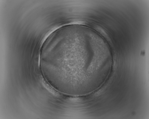 X0000113121276200909111130