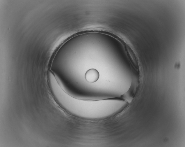 X0000113121277200909111130