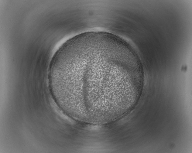 X0000113121278200909111130