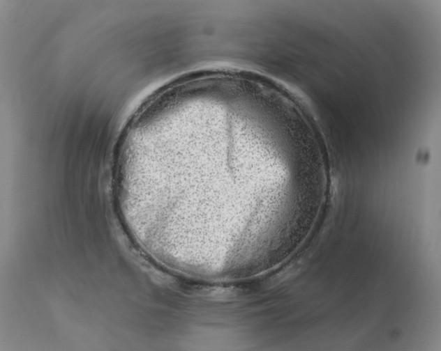 X0000113121279200909111130