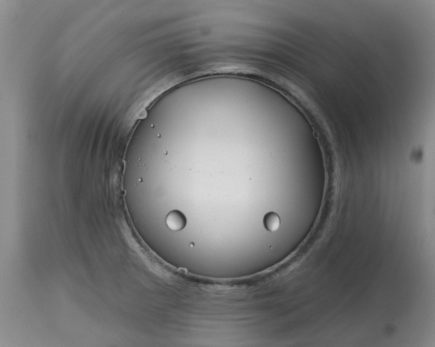 X0000113121281200909111130