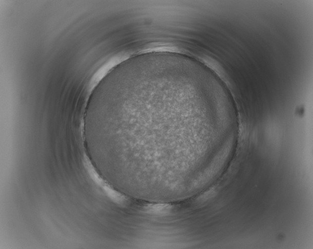 X0000113121282200909111130