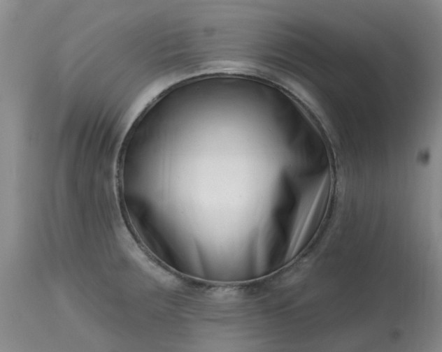 X0000113121283200909111130