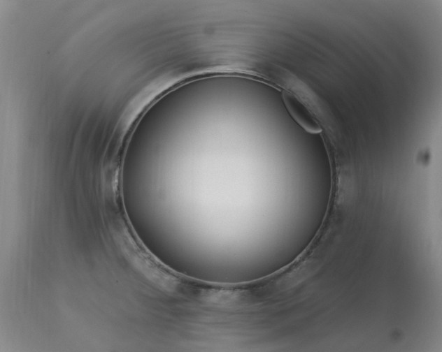 X0000113121284200909111130