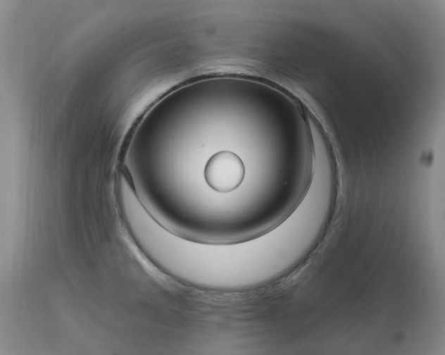 X0000113121285200909111130