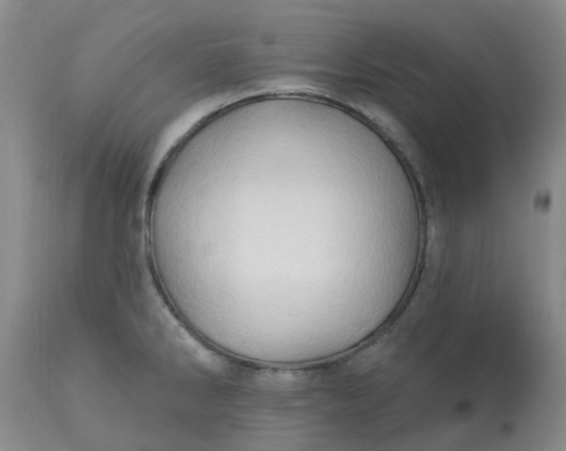 X0000113121286200909111130