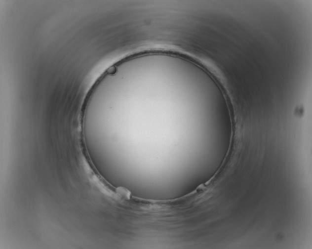 X0000113121287200909111130