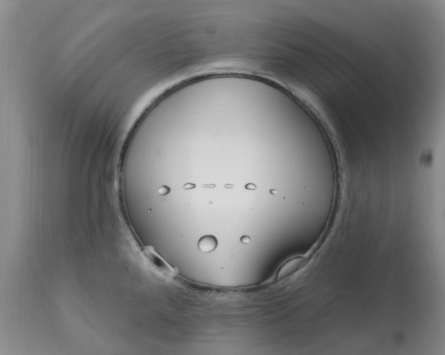 X0000113121288200909111130