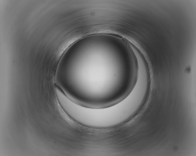 X0000113121289200909111130