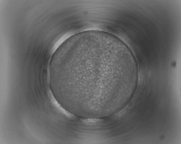 X0000113121290200909111130