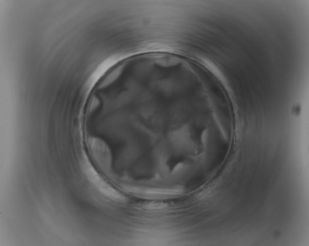 X0000113121291200909111130