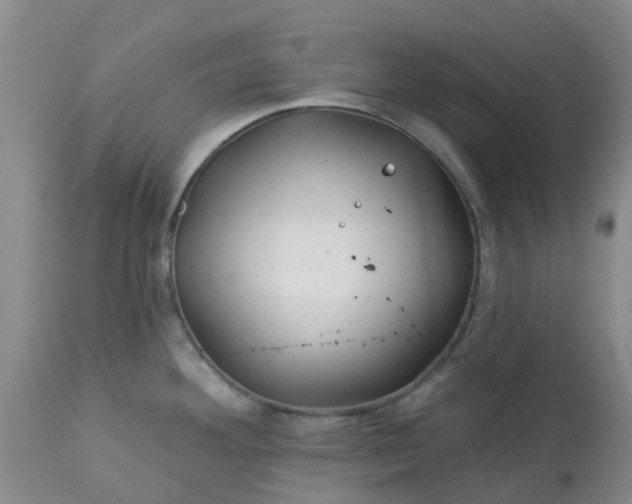 X0000113121292200909111130