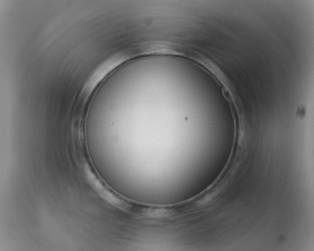 X0000113121293200909111130