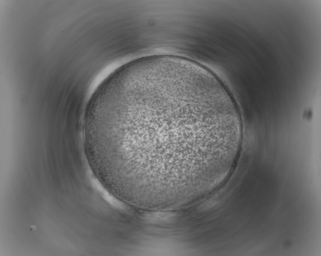 X0000113121294200909111130