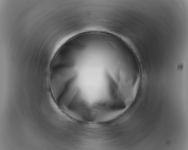 X0000113121295200909111130