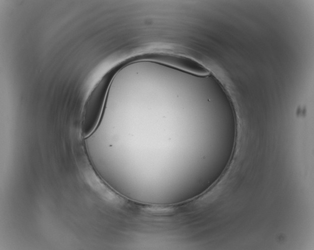 X0000113121296200909111130