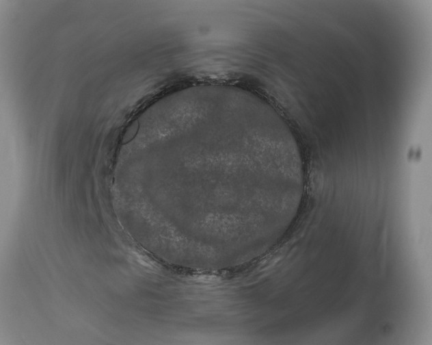 X0000113121297200909111129