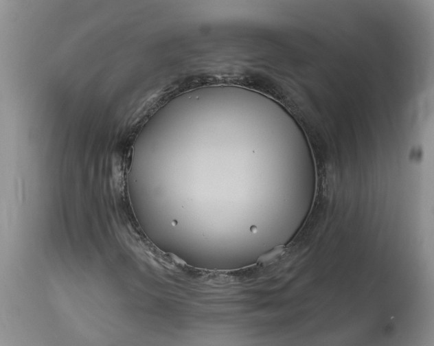 X0000113121298200909111129