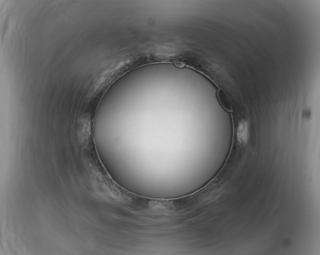 X0000113121299200909111129