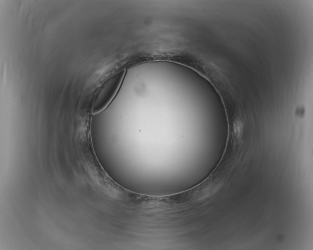 X0000113121300200909111129