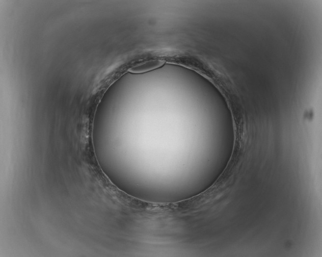 X0000113121301200909111129