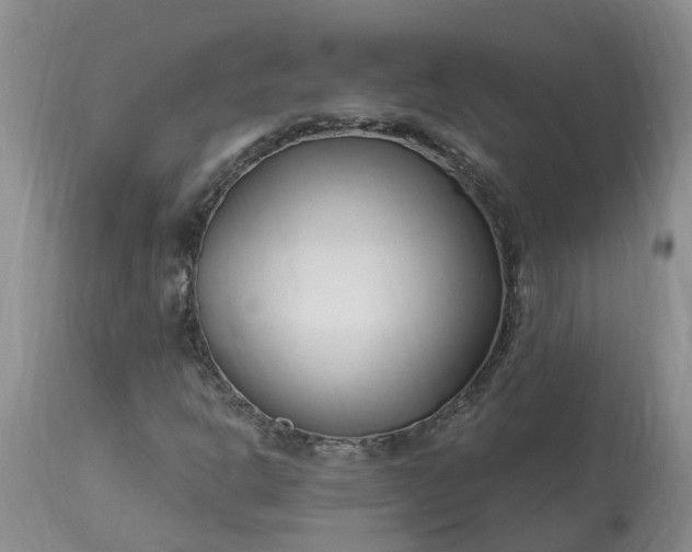 X0000113121302200909111129