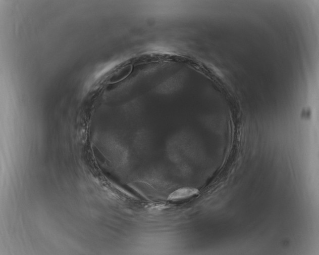 X0000113121303200909111129