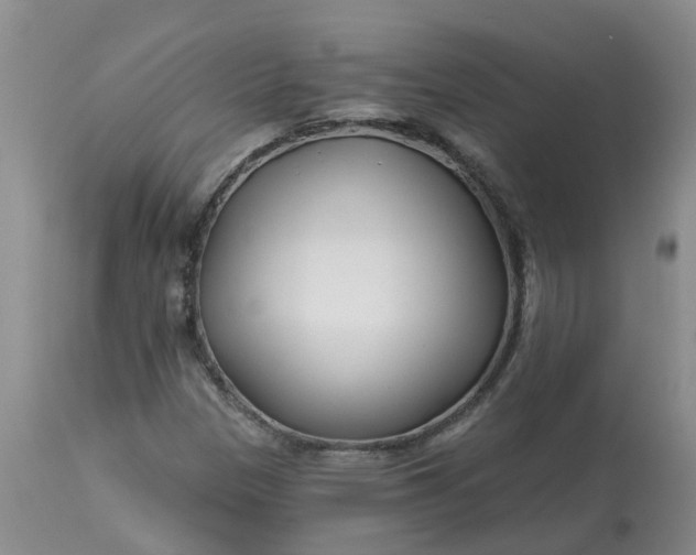 X0000113121305200909111129