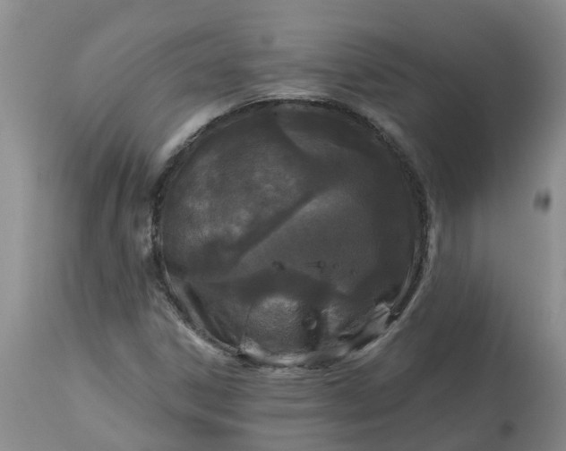 X0000113121306200909111129