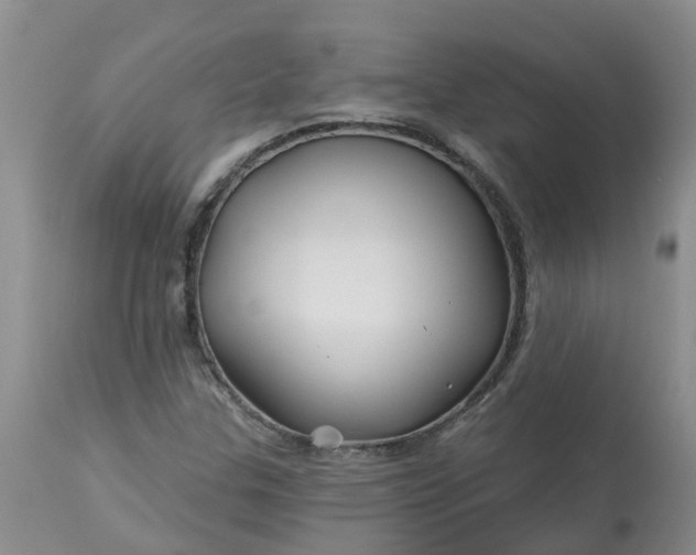 X0000113121307200909111129