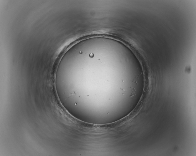 X0000113121308200909111129