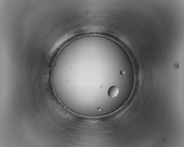 X0000113121309200909111129