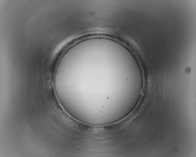 X0000113121310200909111129