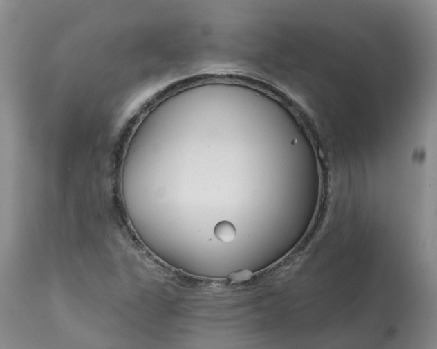 X0000113121311200909111129