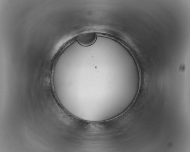 X0000113121312200909111129