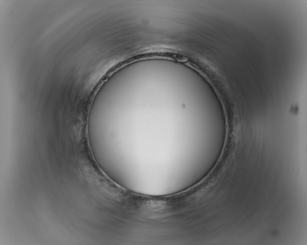 X0000113121313200909111129