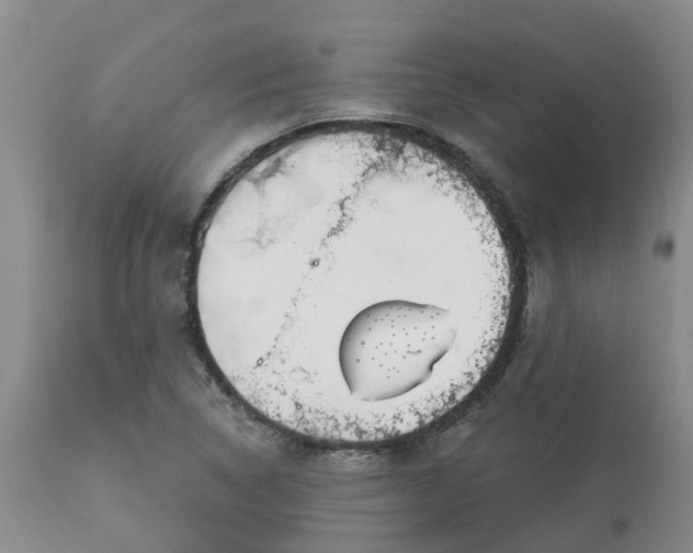 X0000113121314200909111129