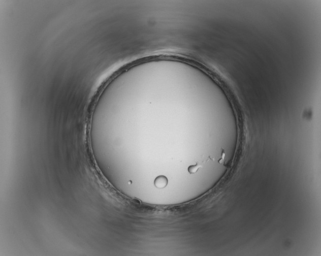 X0000113121316200909111129