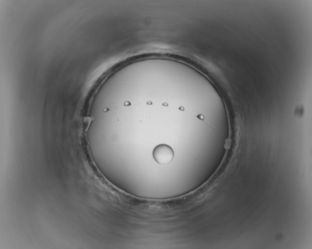 X0000113121318200909111129