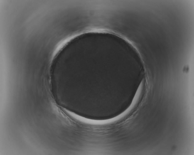 X0000113121319200909111129