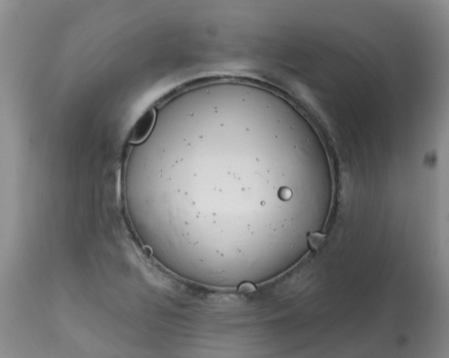 X0000113121320200909111129