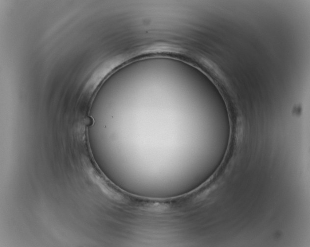 X0000113121321200909111129