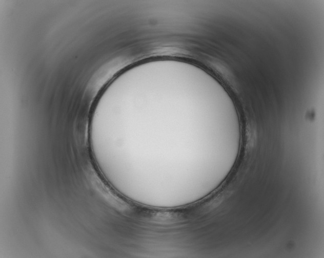 X0000113121322200909111129