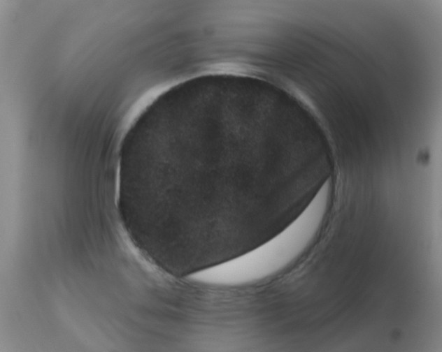 X0000113121323200909111129