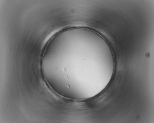 X0000113121325200909111130