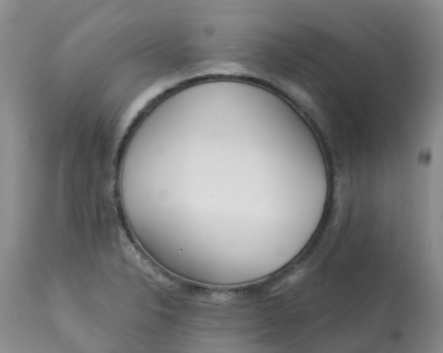 X0000113121326200909111130