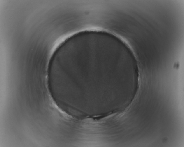 X0000113121327200909111130