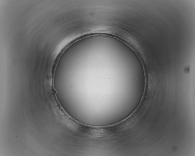 X0000113121328200909111130