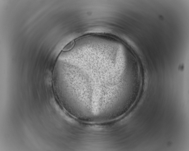 X0000113121329200909111130